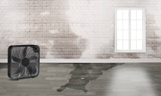 Best Ceiling water damage repair  in Pinson, AL