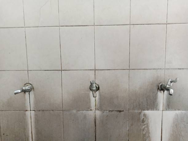 Best Local water damage restoration  in Pinson, AL