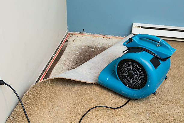 Best Professional water damage repair  in Pinson, AL